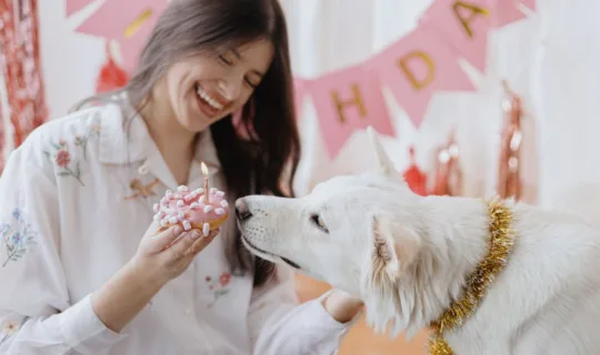 狗狗生日派对