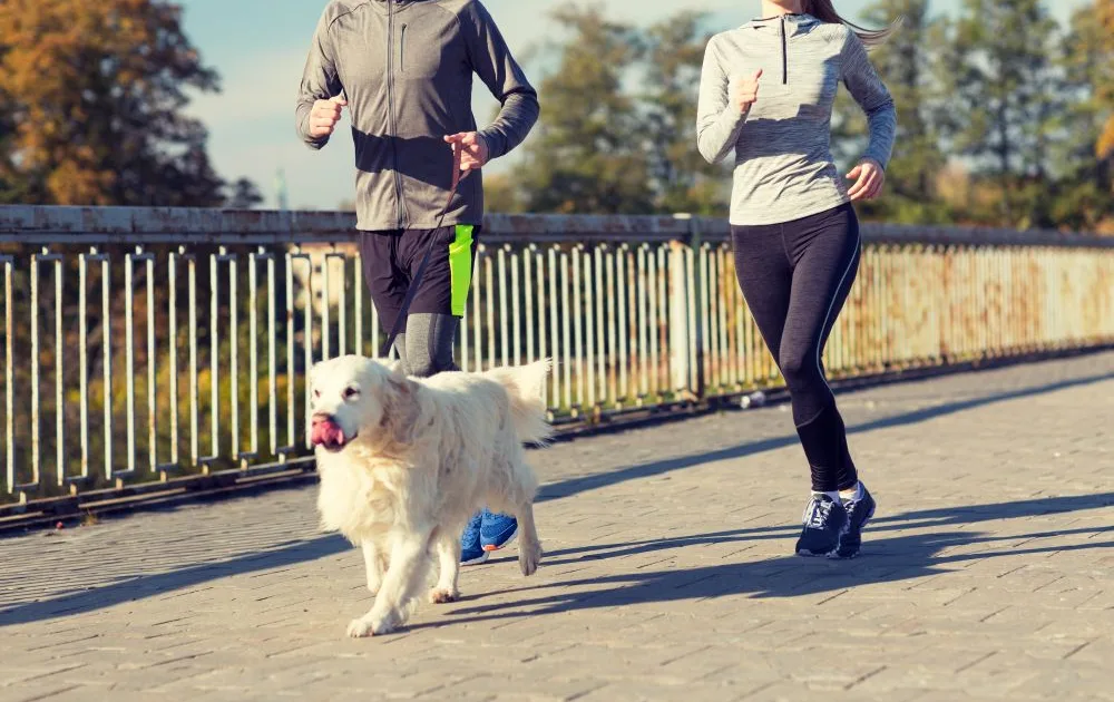 Couple running with their golden retriever
