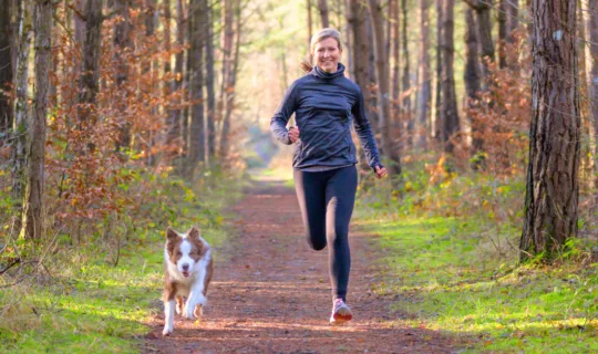 Trail Running With Your Dog in Australia