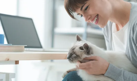 How Excess Affects Your Pet Insurance Policy