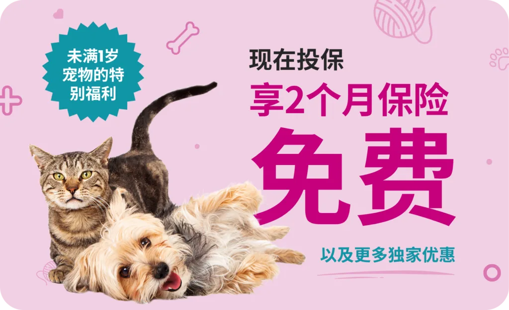 免费试用2个月 - 中文版