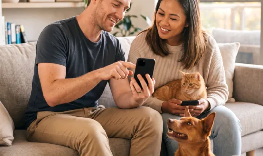 a couple spending time with their dog