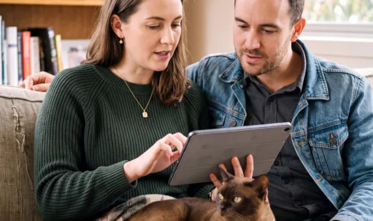 a couple discussing pet insurance for their cat