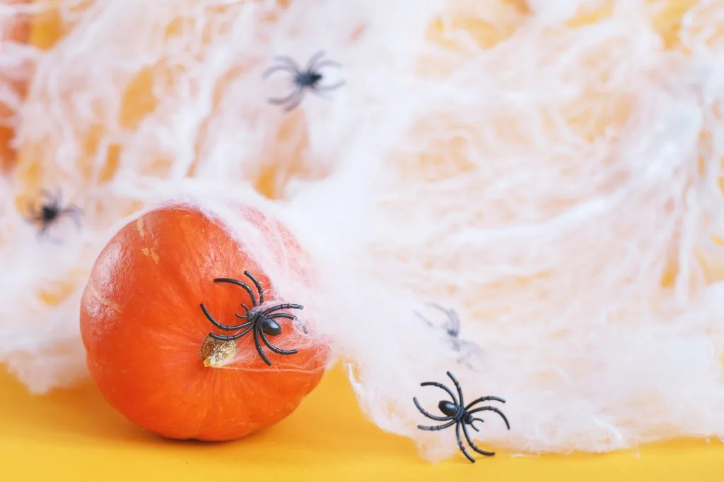 Halloween pumpkin with spider web and black spiders on an orange background.
